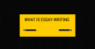 What is Essay Writing ?